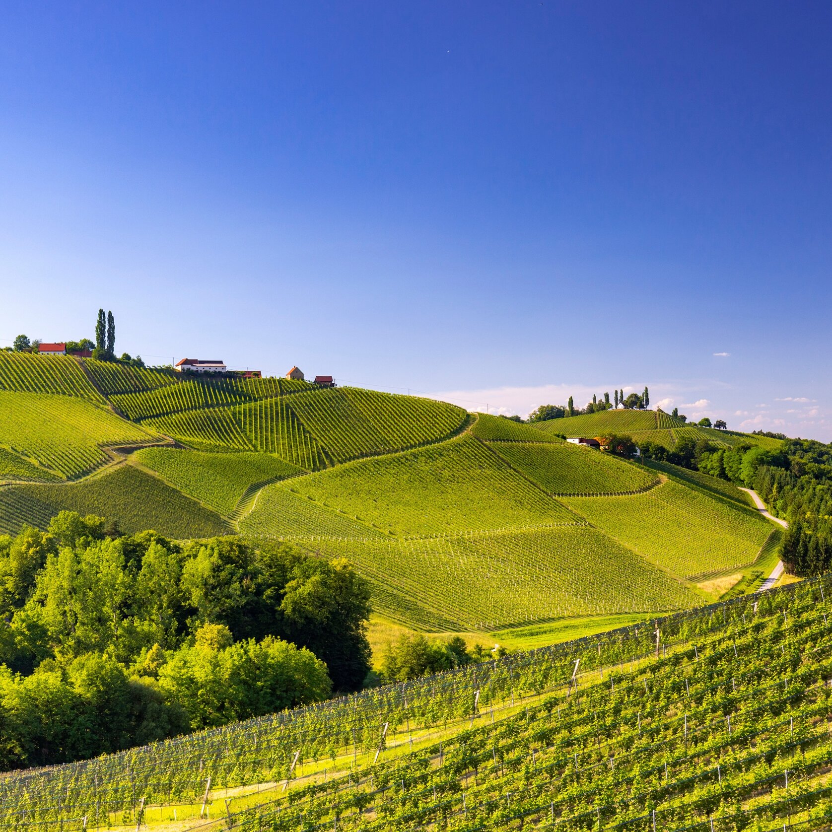 S Dsteirische Weinstra E I Top Ausflugsziel In Der Steiermark