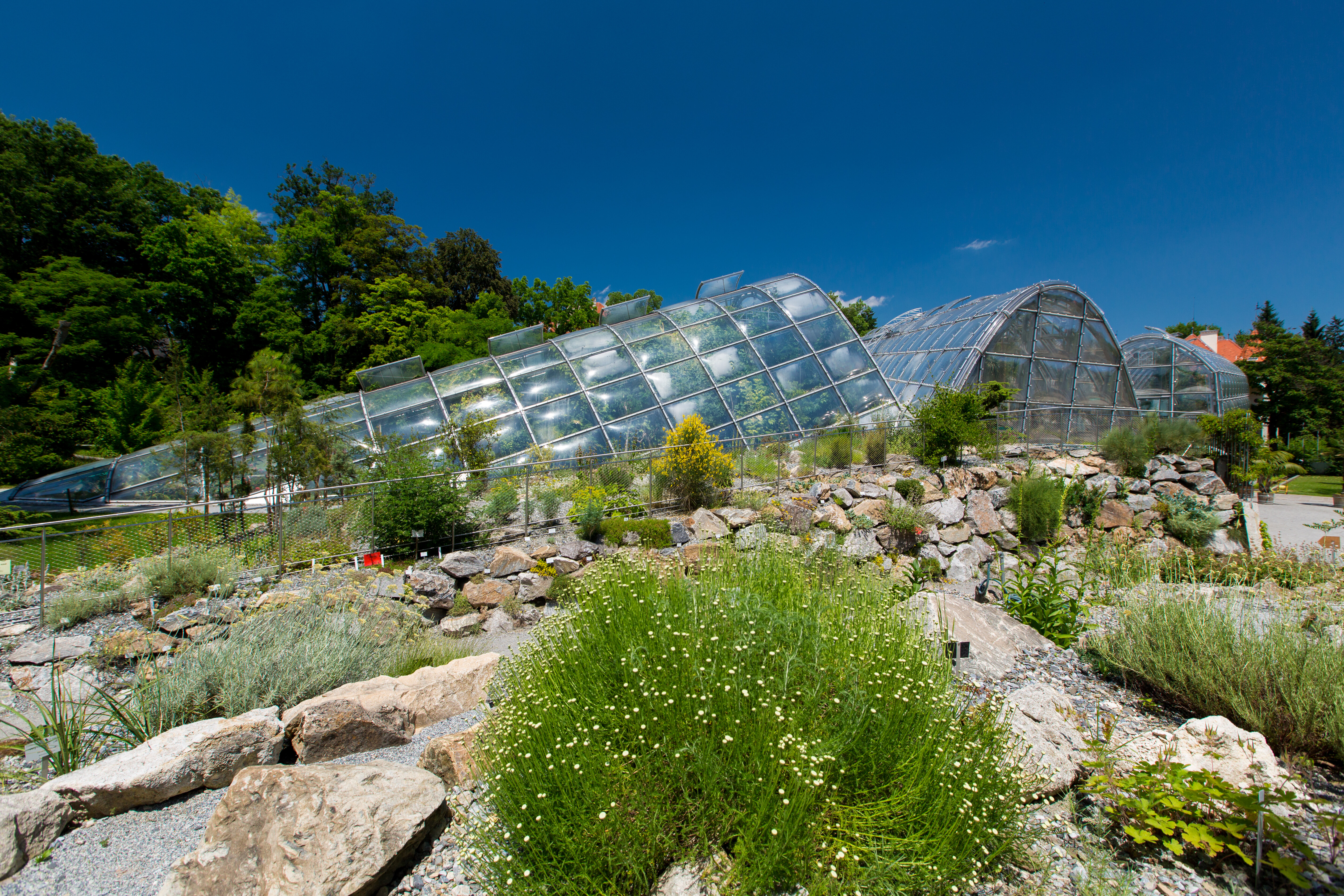 Sind Botanische Garten kostenlos?